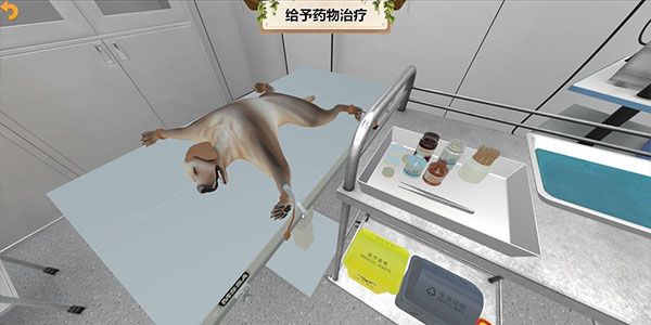 母犬卵巢子宫摘除术虚拟仿真训练系统