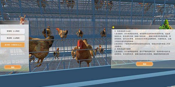 黄羽肉鸡健康养殖全流程虚拟仿真实训系统