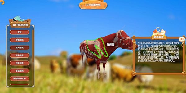 3D牛解剖虚拟仿真系统