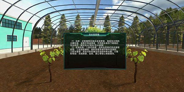 葡萄大棚精细化种植虚拟仿真实训系统