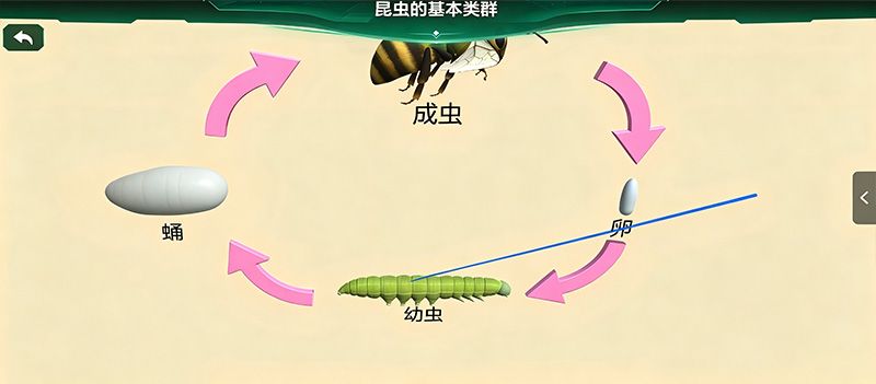 有害昆虫精准识别虚拟仿真系统