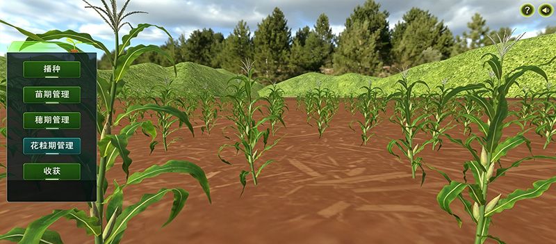 玉米全生育期种植虚拟仿真实验