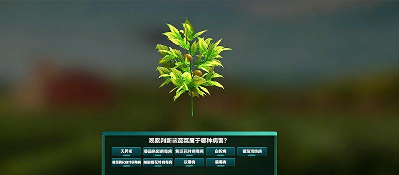 西红柿大棚精细化种植虚拟仿真实训系统